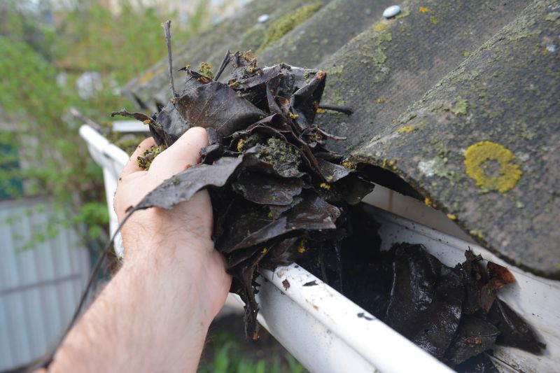 Downspout Cleaning in Frederick, MD