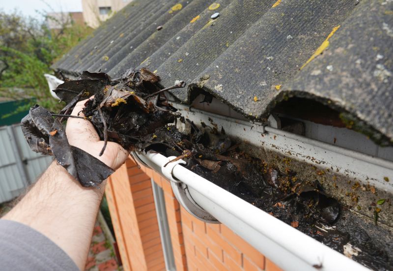 Gutter Blockage Removal in Fredericksburg, VA