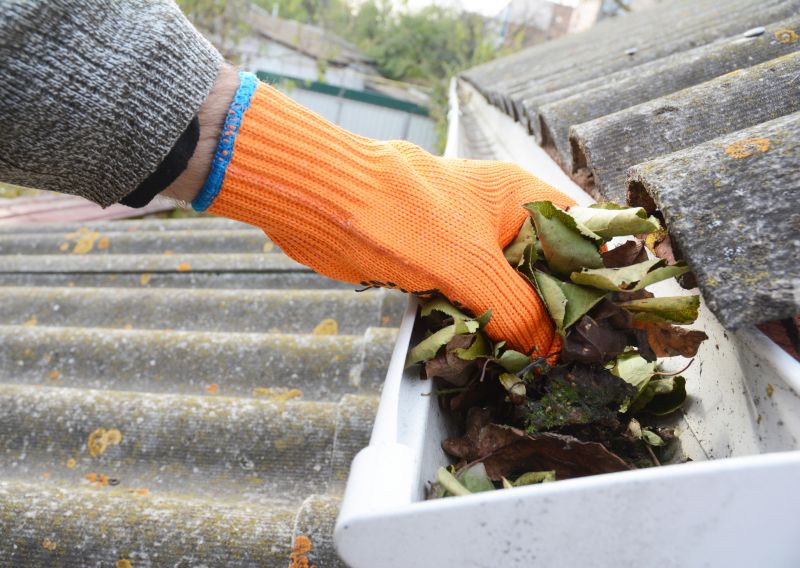 Gutter Leaves Removal in Fredericksburg, VA