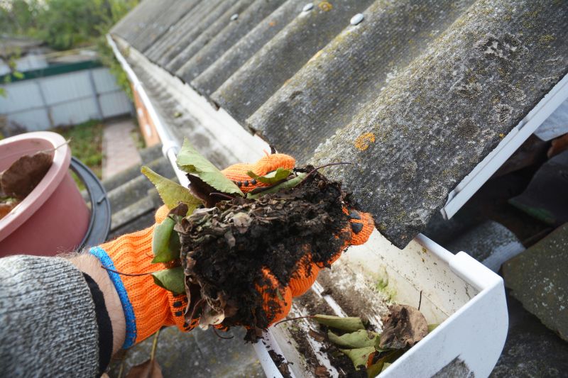 Gutter Leaves Removal in Longmont, CO