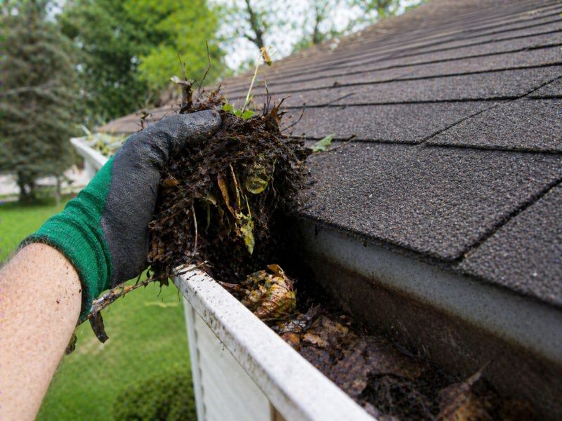 Gutter Maintenance in Arvada, CO